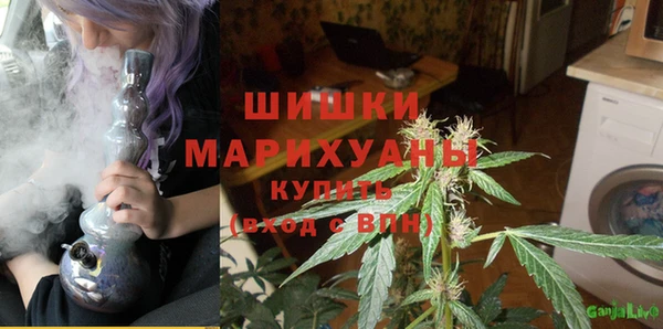 МДПВ Горно-Алтайск