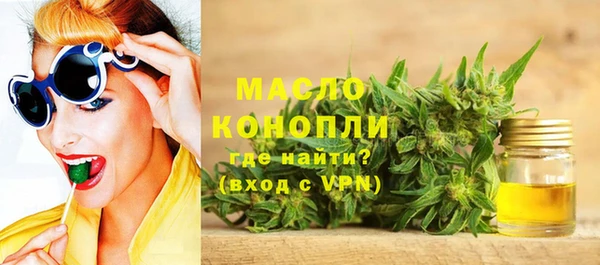 спиды Вяземский