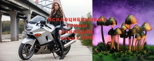 спайс Горнозаводск