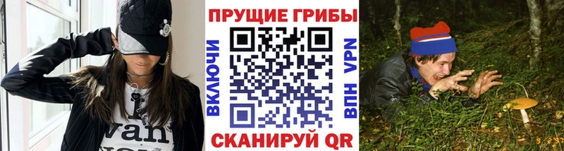 Купить  Сковородино  Галлюциногенные грибы прущие грибы 
